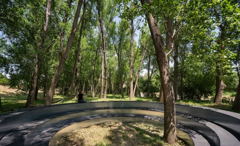  Urbanismo táctico en Logroño revoluciona espacios públicos