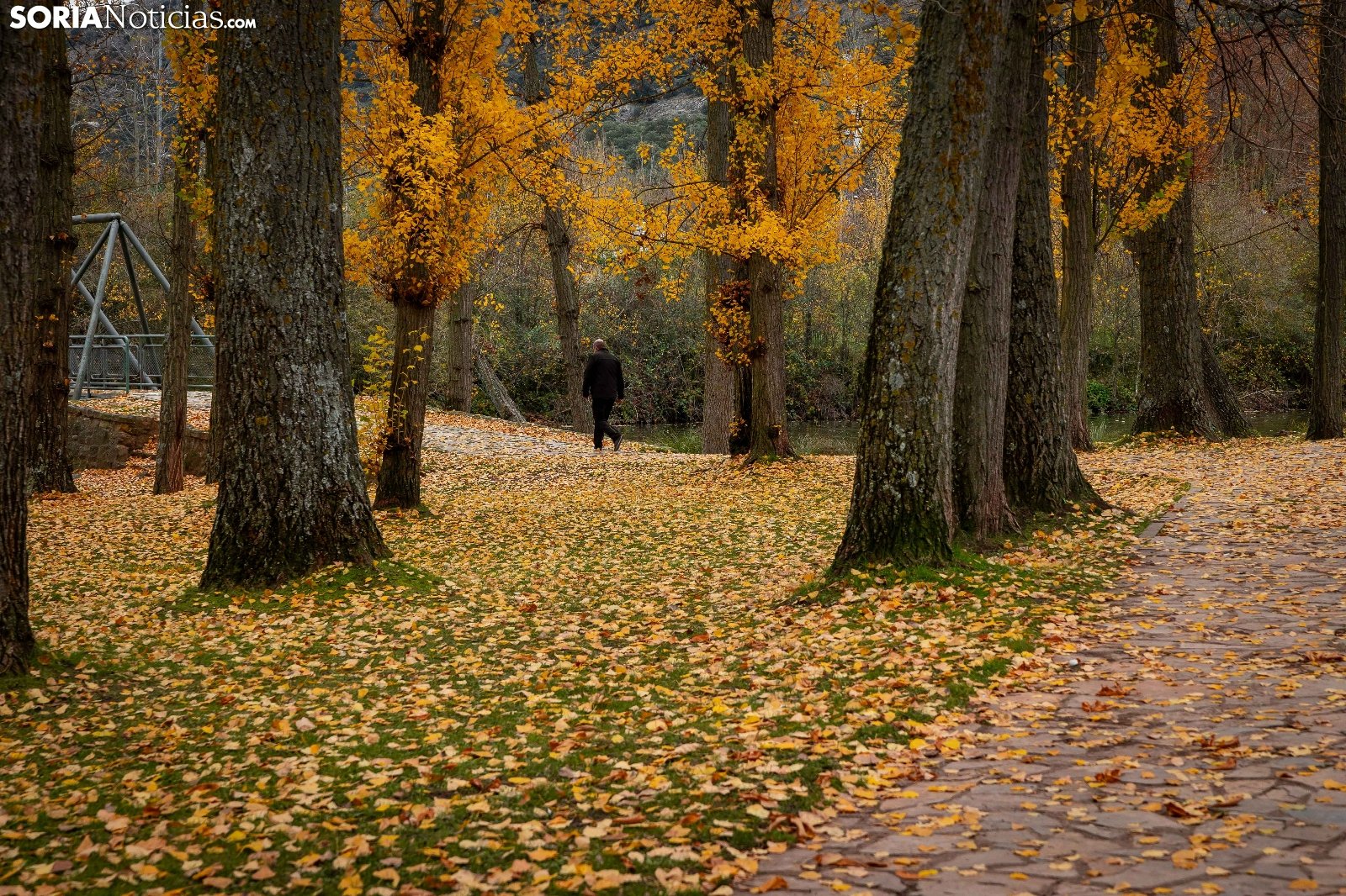 10 rincones de Soria para fotografiar el otoño y disfrutar sus paisajes más mágicos